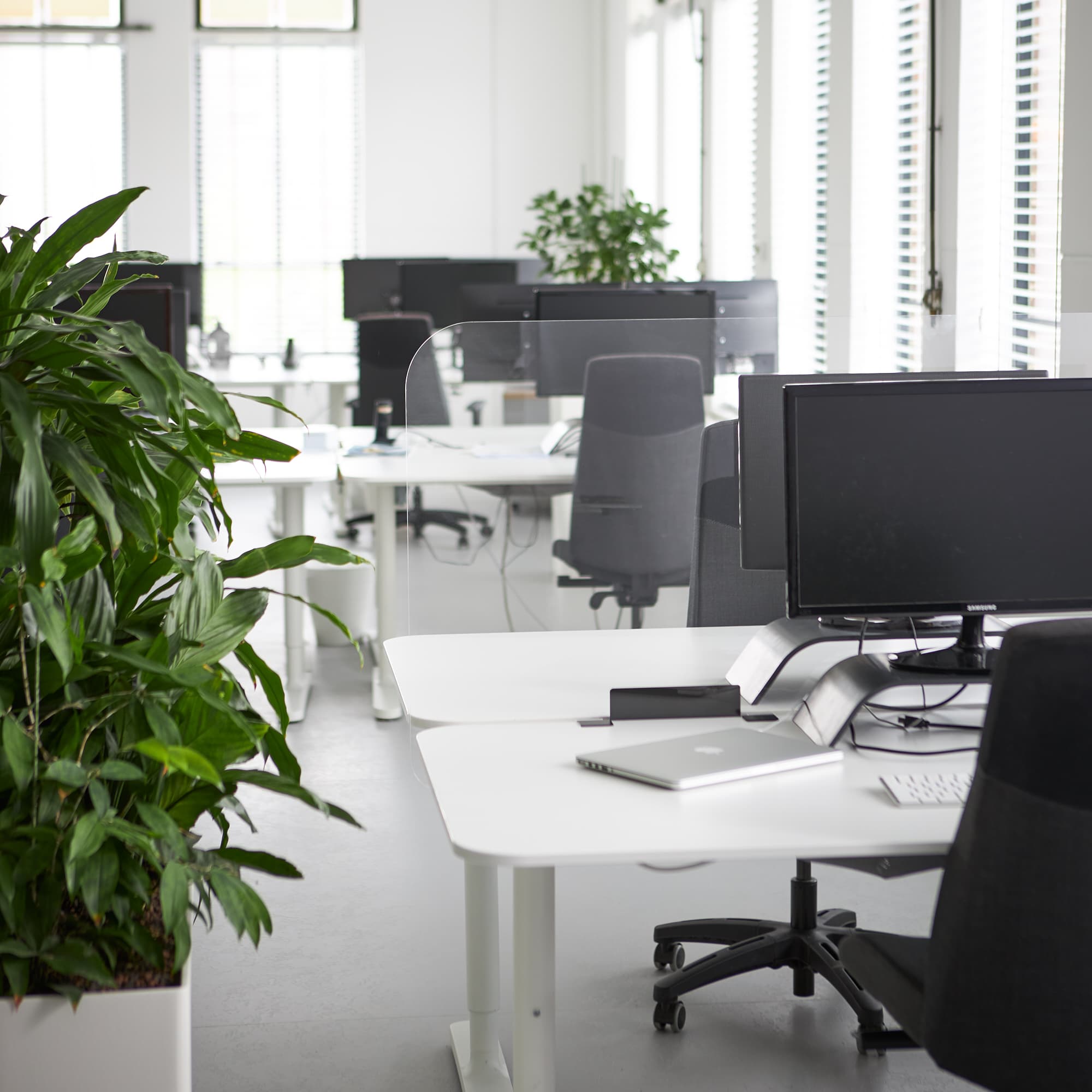Cloison de bureau en plexiglass grande